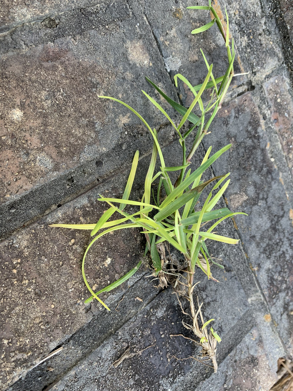 4C277872-6CB4-4635-901E-CBD4DEA9259D