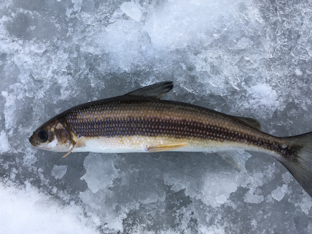 10530A86-0C39-456C-A9A6-5FE7AA4501EB