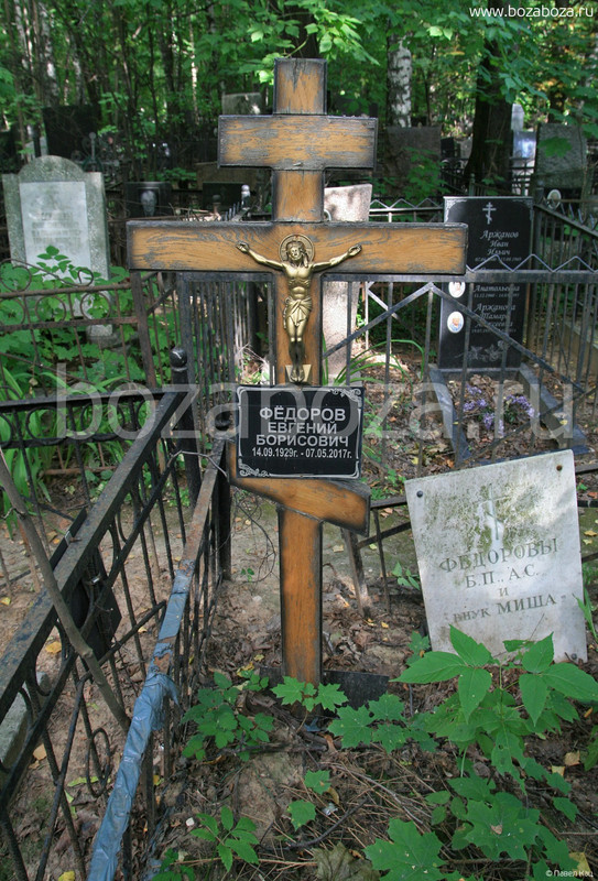 Фёдоров Евгений Борисович 1929-2017 гг.