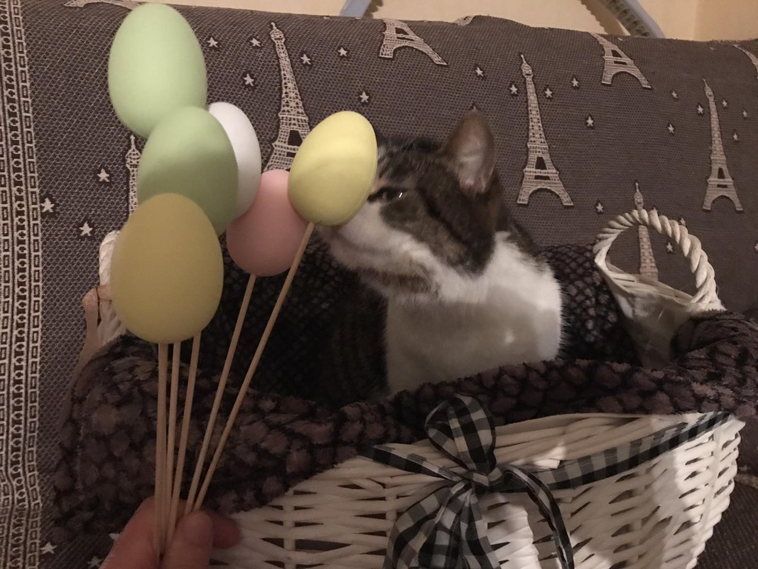 AACA1642-244A-44E8-A01F-78AEC238B758