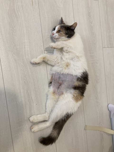 839FD39C-E485-41E1-AE23-FB9182EEE2F8