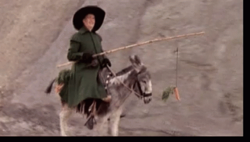 Carrot dangling infront of horse gif