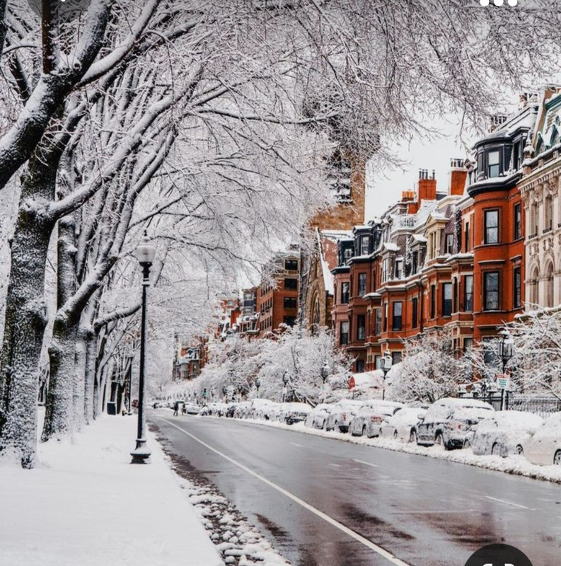 Screenshot_20231024_132153_Pinterest