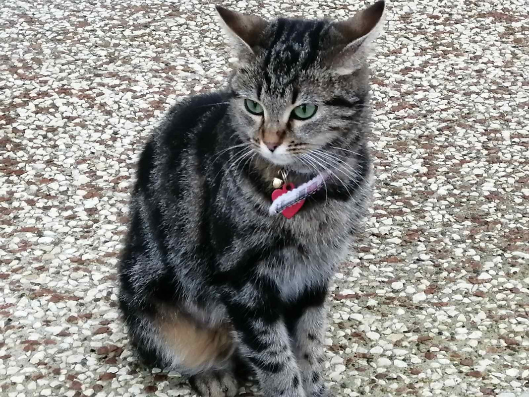 IMG-680fac860087cc98761805f9d0680bbf-V-1