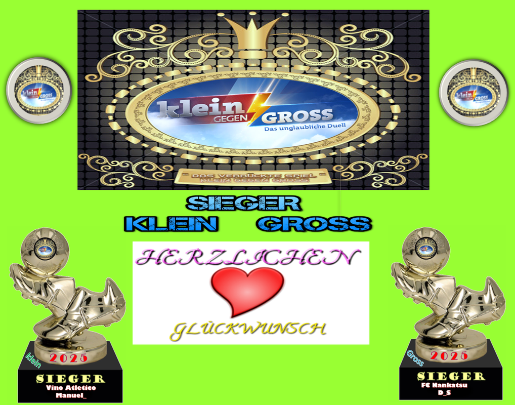 DVSA21 Finale 2025Danke Sieger