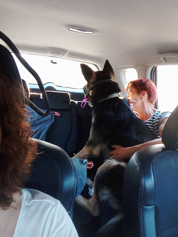 A04C7186-8264-433E-B926-681986580A63