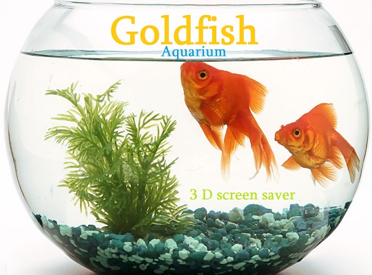 goldfish aquarium 3d screensaver