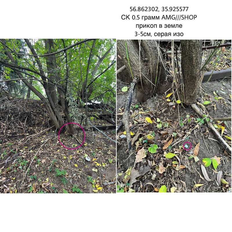 IMG_20250928_165955_057