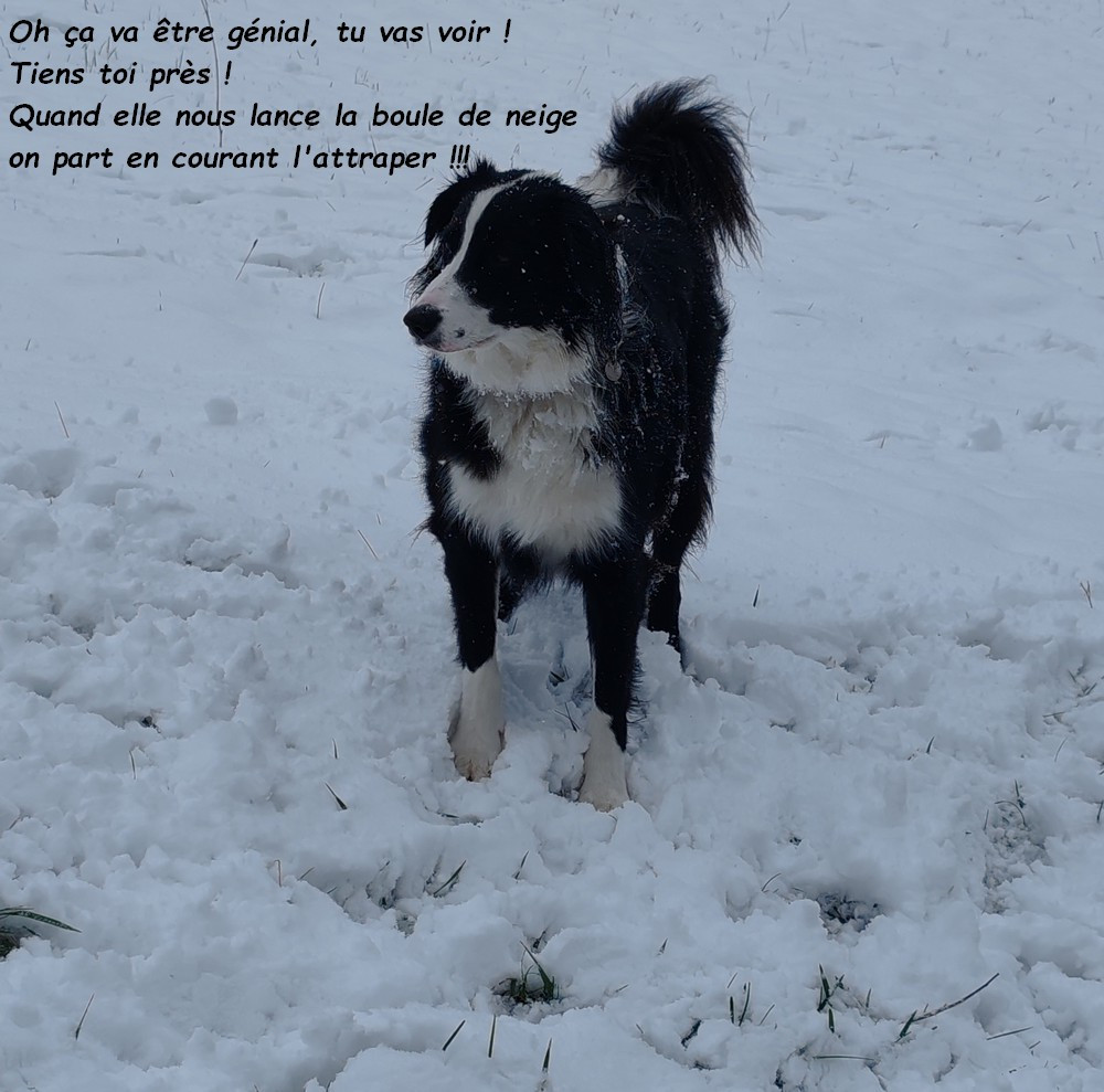 IMG-20260314-145304b