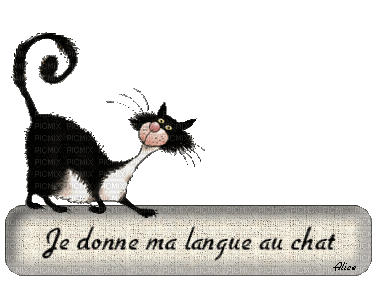 1454784-f0ddf