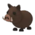 Wild Boar