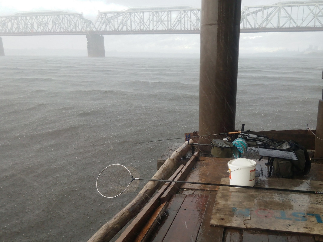 Пирс у ЖД моста 04.08.15 02