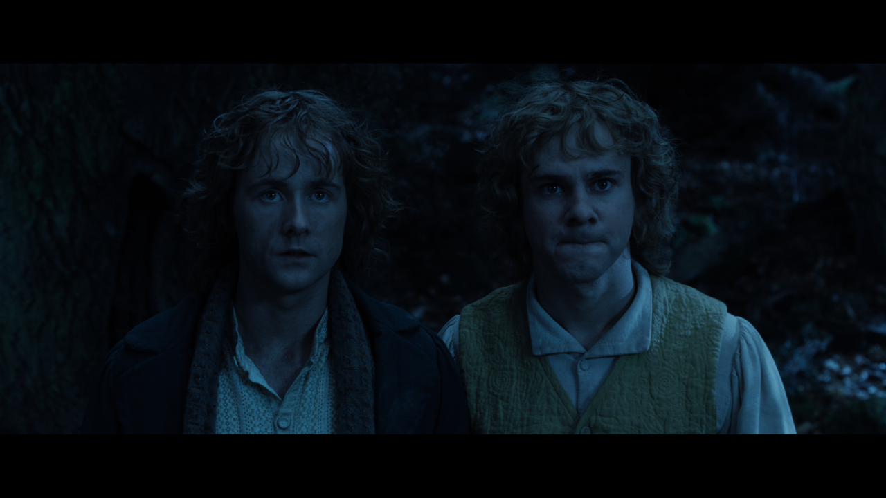 The Lord of the Rings- The Two Towers (EXT.) PT. 2.mkv_snapshot_01.06.45_[2020.12.11_21.36.42]