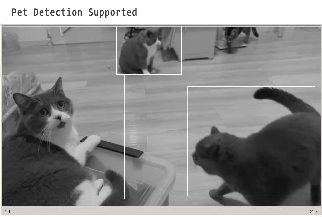 Pet Detection