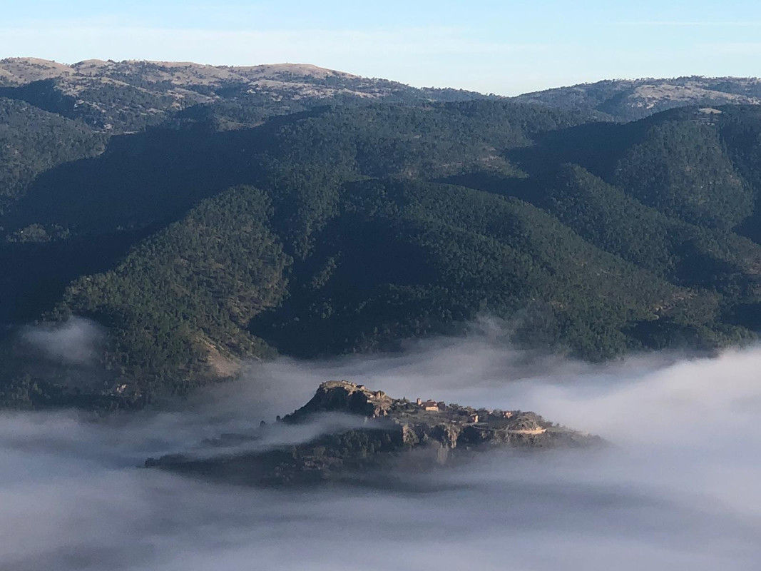 PHOTO-2020-12-09-11-35-51 (1)