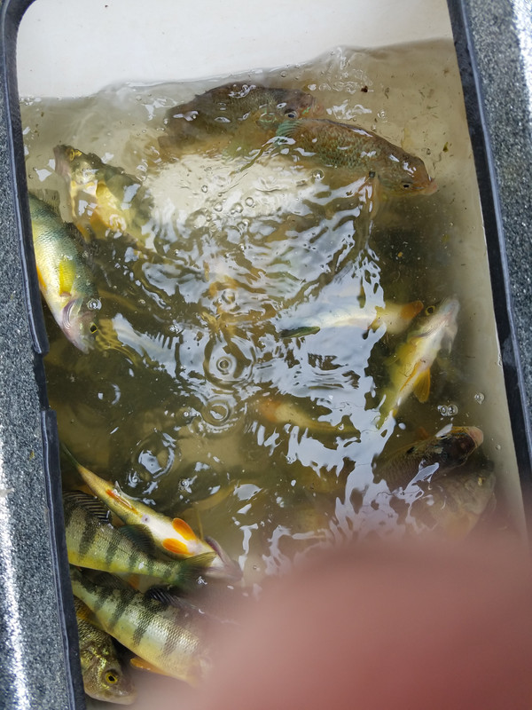 20180603_132904(0)