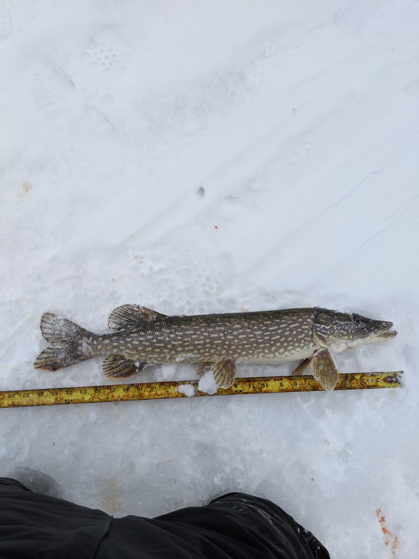 PXL_20210303_191658990