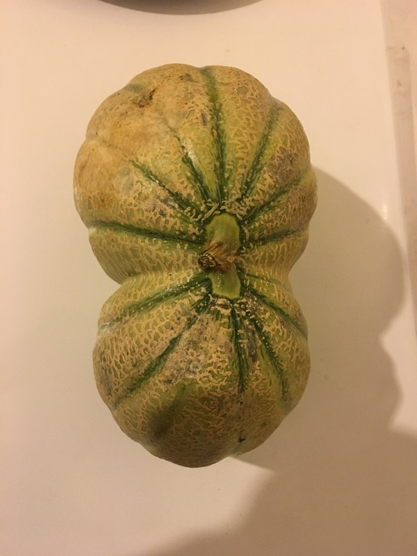 0F1AF434-D48B-4FF9-8BA1-F2D12CC5CCF8_1_105_c