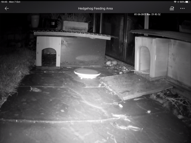 F0A8E3A3-5498-4019-A06C-2A39C985CDCE