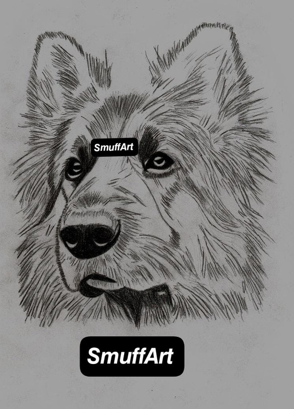 Portrait protective dog