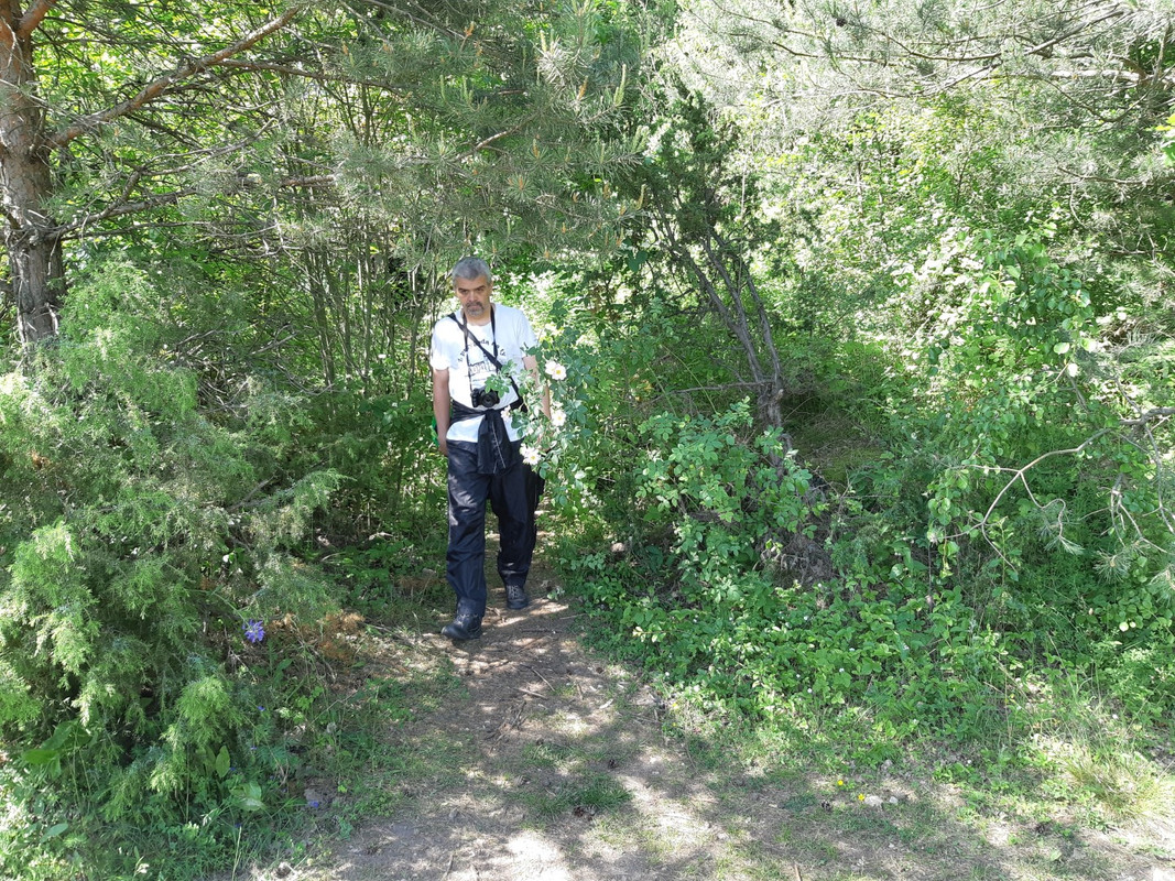 10.07 - 20200613_101015 (PiTT)