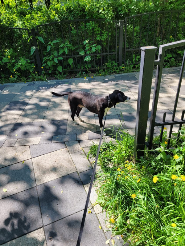 308F92E2-A3CC-4FCA-9EEE-7E311E50ABEC