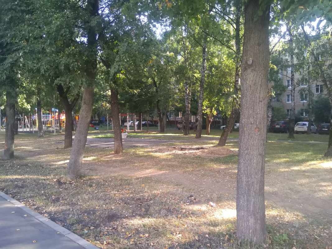 photo_2022-08-25_08-19-50 (2)