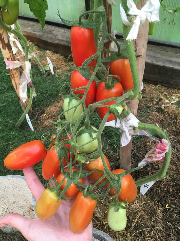 743C8E2F-65BA-4A80-9E49-2BF226707283