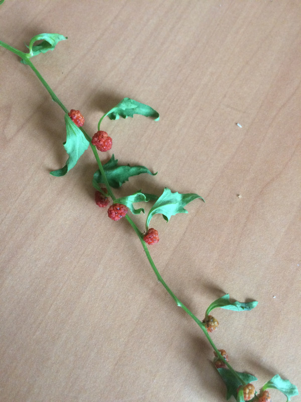 F3FC44B4-0555-48A7-B00A-57EDD65AFBA2