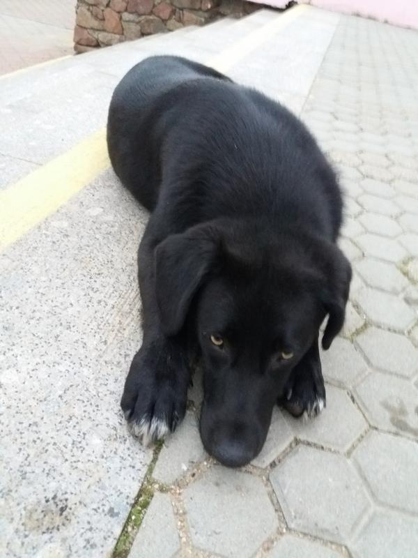 B1E22A90-073B-47ED-9BEF-528362829A79