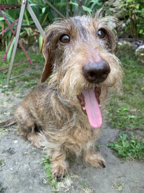 [Image: IMG-6705.jpg]