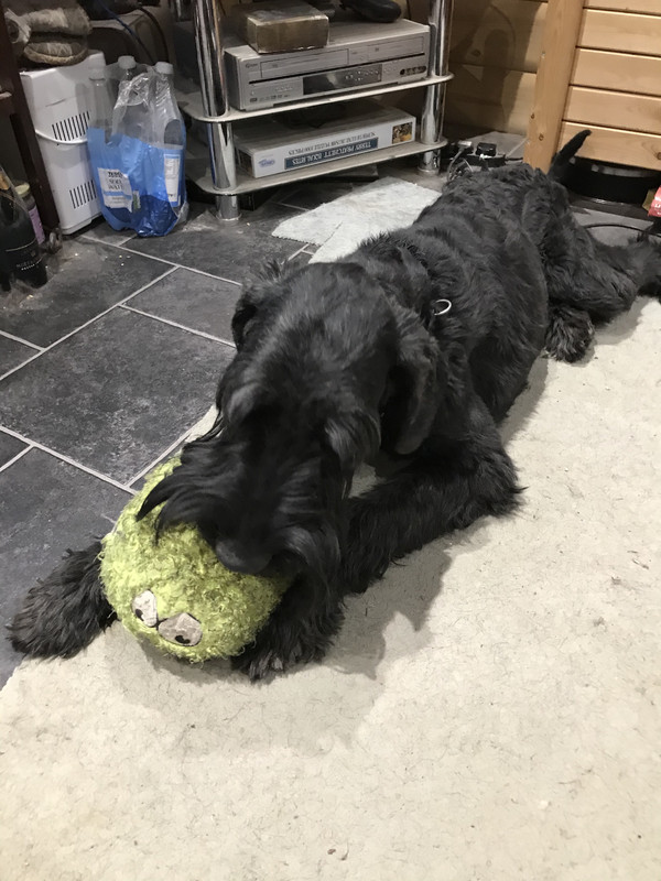 623A8555-90C7-4738-8916-2D3FA27C2088