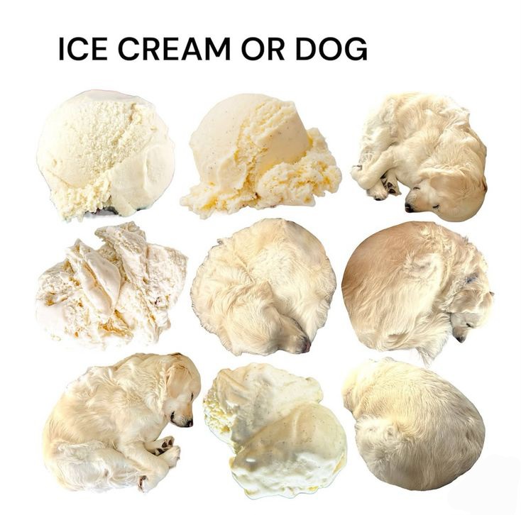 42087a4b0bd602bf9de359a193cfb60e