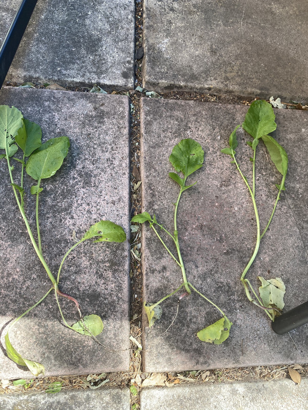 AD88107D-ECA8-4CC6-9F85-3F255326FFDC