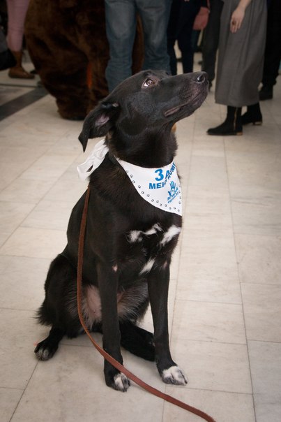 CAF1CB50-A009-488D-AC29-68D5E2820E44