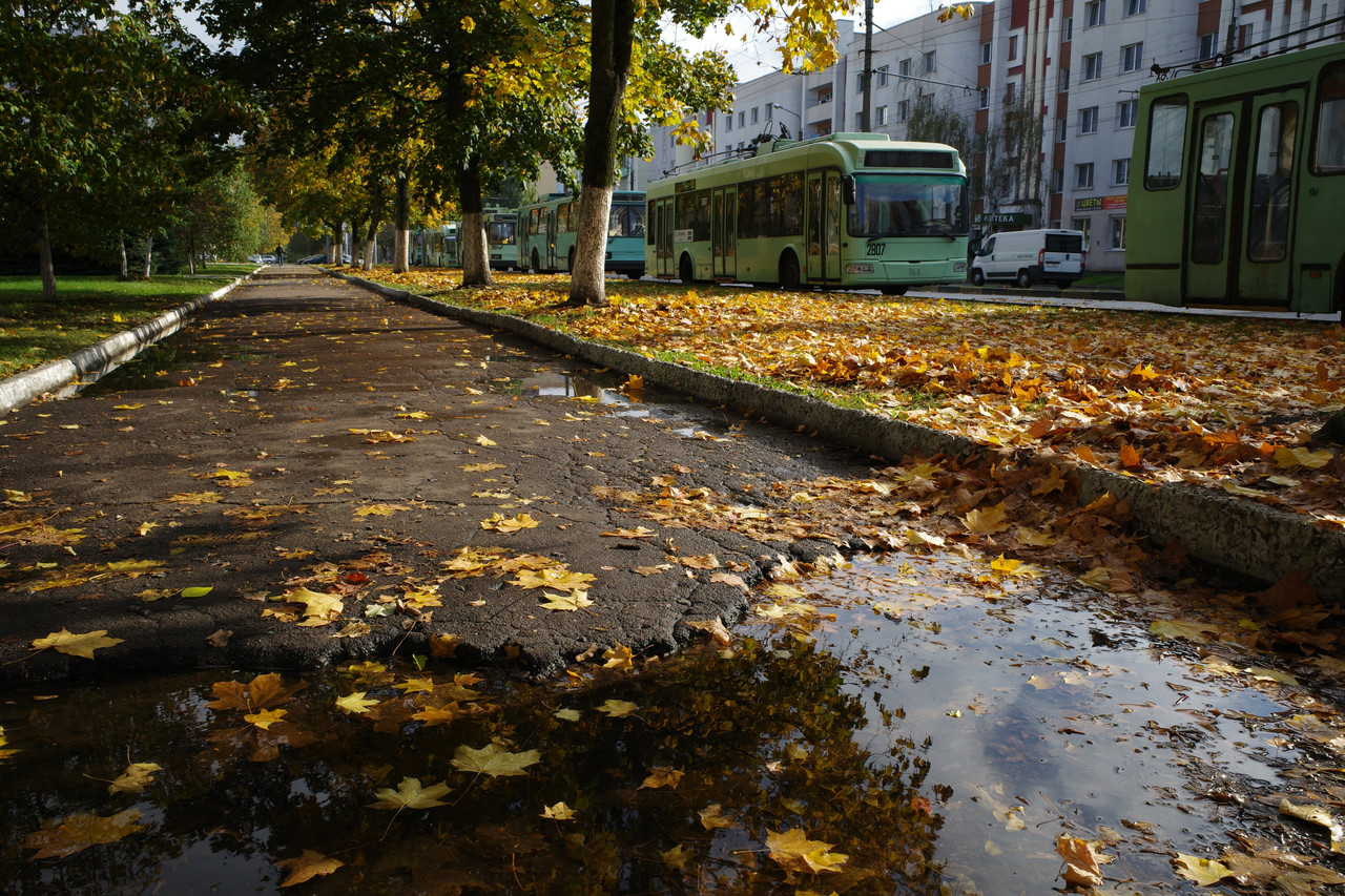 Октябрьская зарисовка