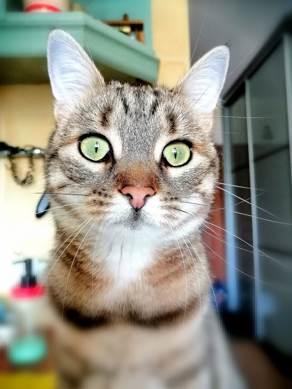 изображение_viber_2021-05-25_14-39-22