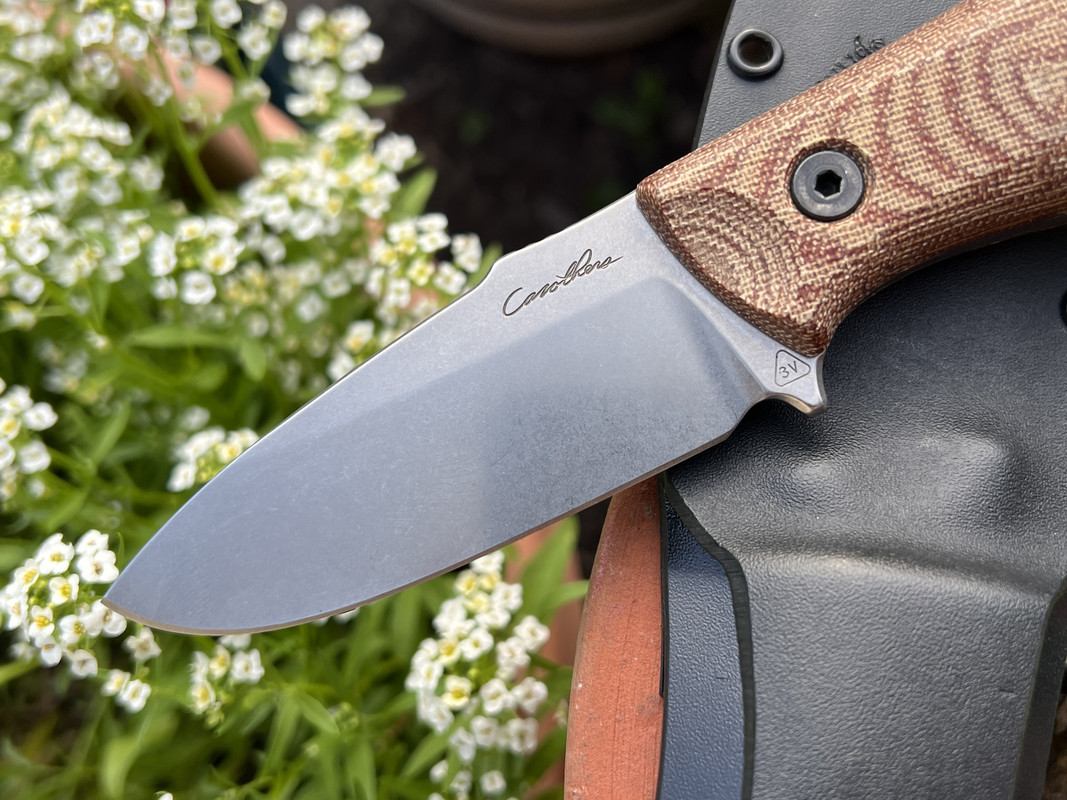 00EA8602-253B-40CE-BE5F-BB4C18D7025C