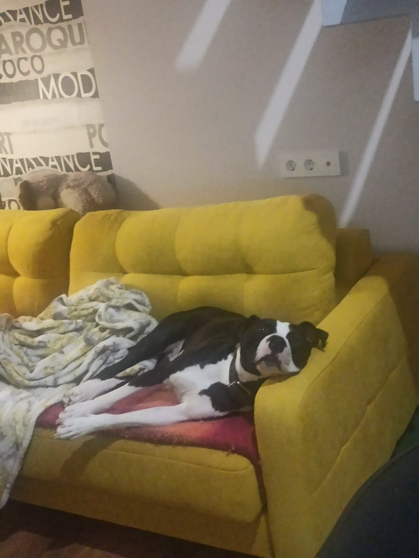 1FDCD8D5-4647-4E7B-A309-4786729DE544