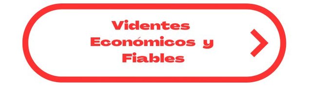 videntes economicos y fiables