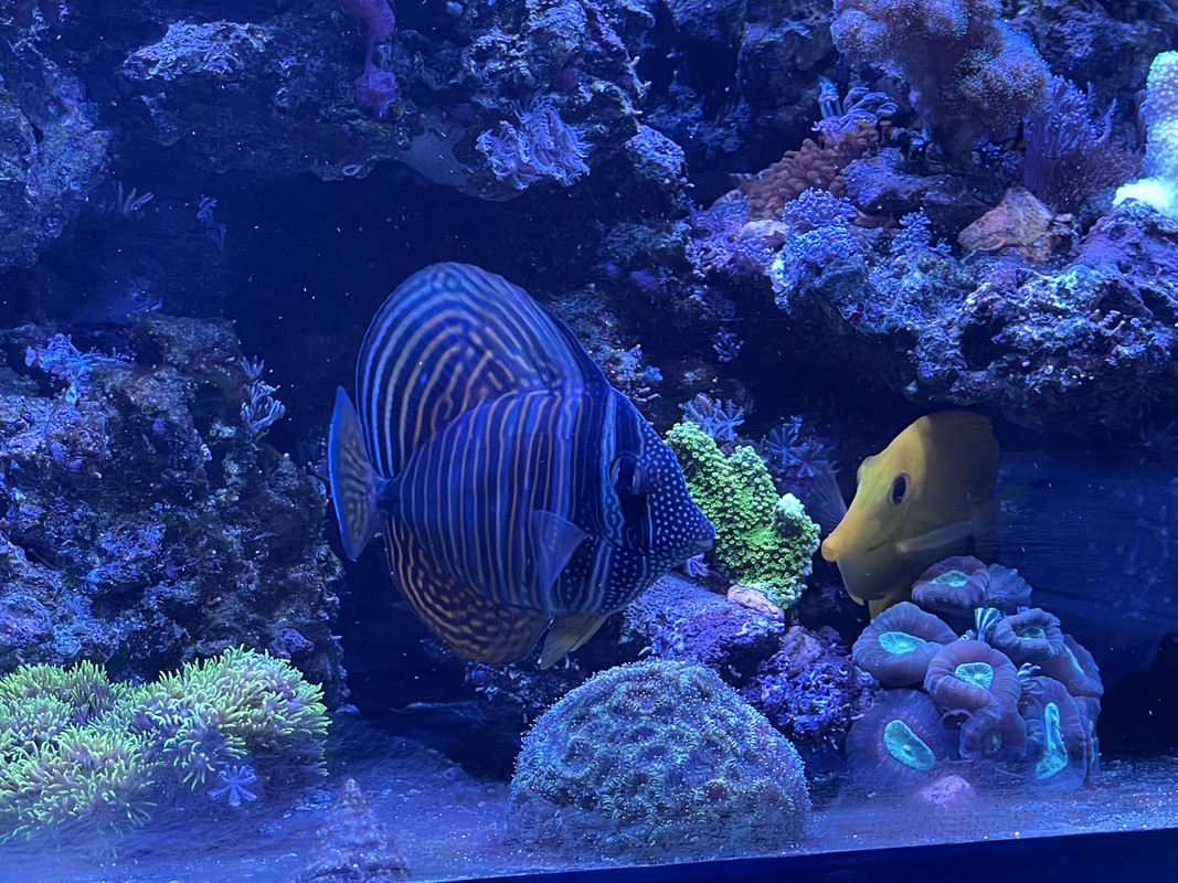 3B9DC66B-15C7-4BA2-8023-539CD3A29D9E