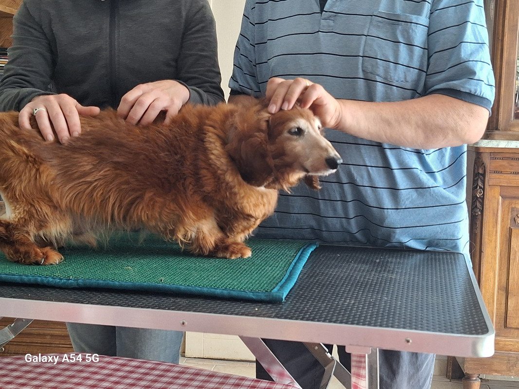 [Image: 20240703-170147.jpg]