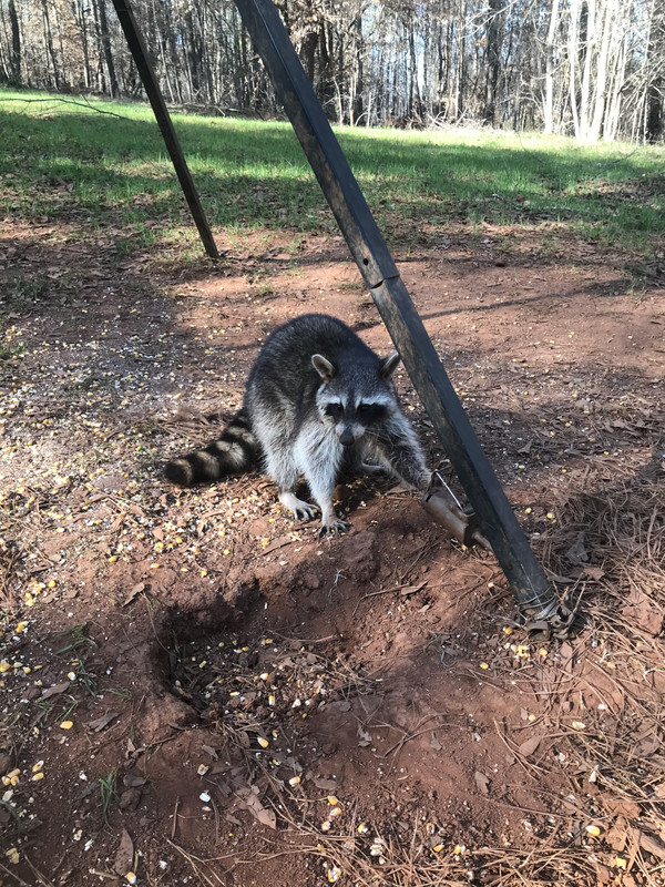 E33D483B-C64B-4A17-8E3D-59F77EE1BCF4