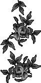 black 146