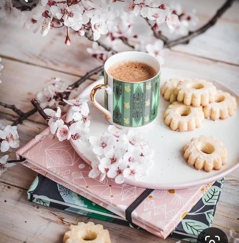 Screenshot_20230307_000319_Pinterest