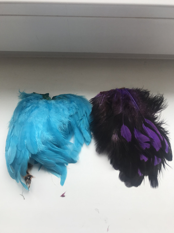 0BD6212E-3055-4D3E-ACBC-F20DFEFA09C8