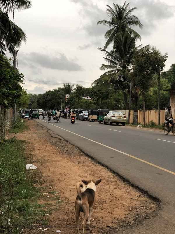 CF5-A3-B4-D-CA26-4798-913-F-4-DE025-E134