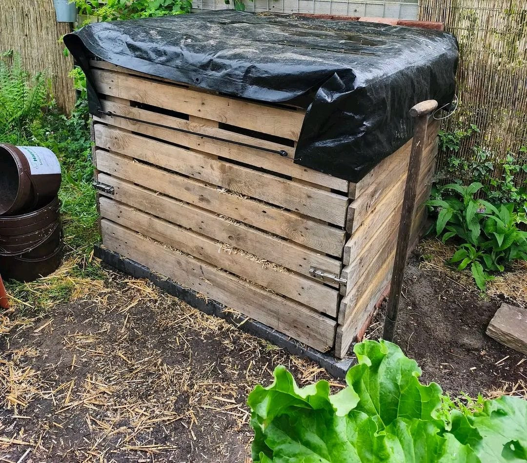 Phase 2: Leaves stored in container for decomposition