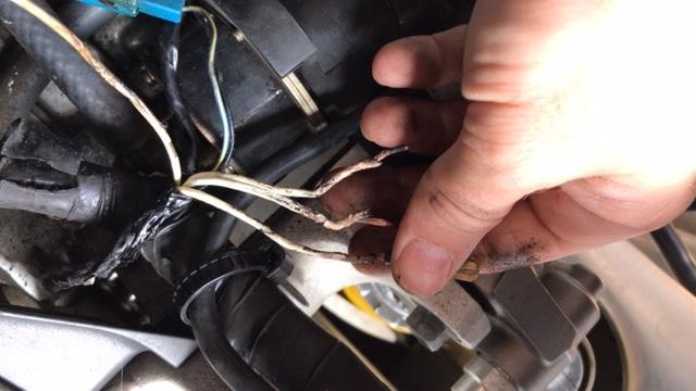 6A8CB520-E368-441D-A274-8DAC0BD07E26