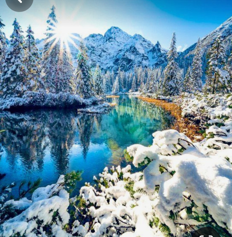 Screenshot_20240120_120011_Pinterest